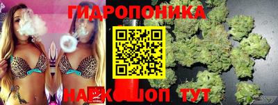 шишки Краснокаменск