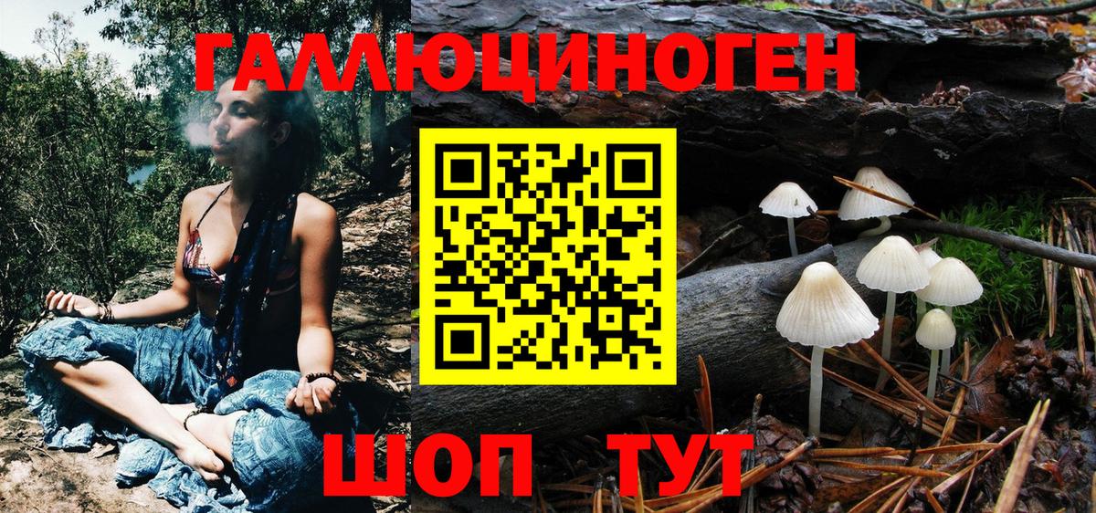 Галлюциногенные грибы Cubensis  Вход с VPN  Кимры 